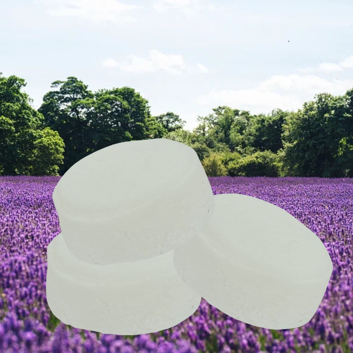 Lavender Shower Steamer