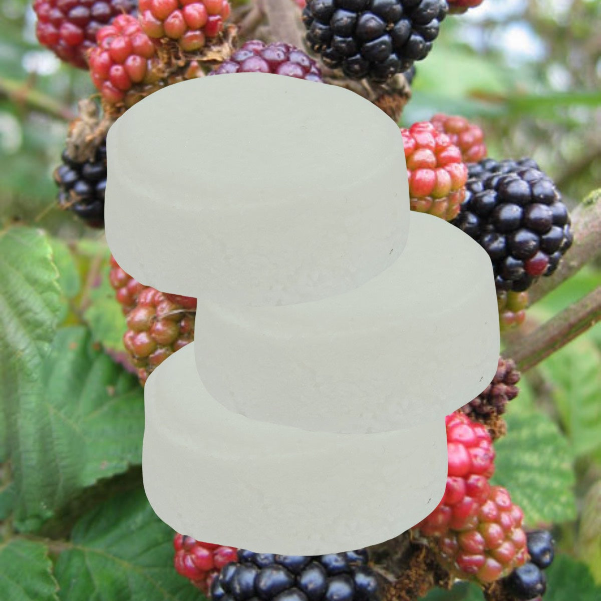 Blackberry Shower Steamer